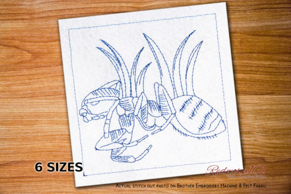 Macro Ghost Ant Design