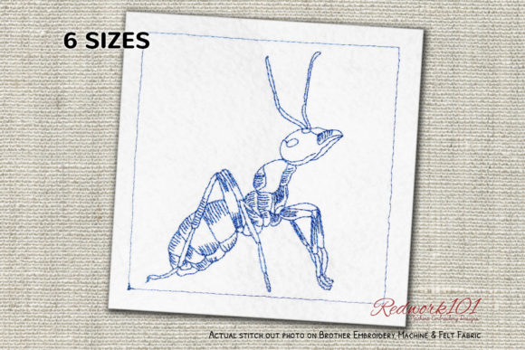 Red Wood Ant Bluework